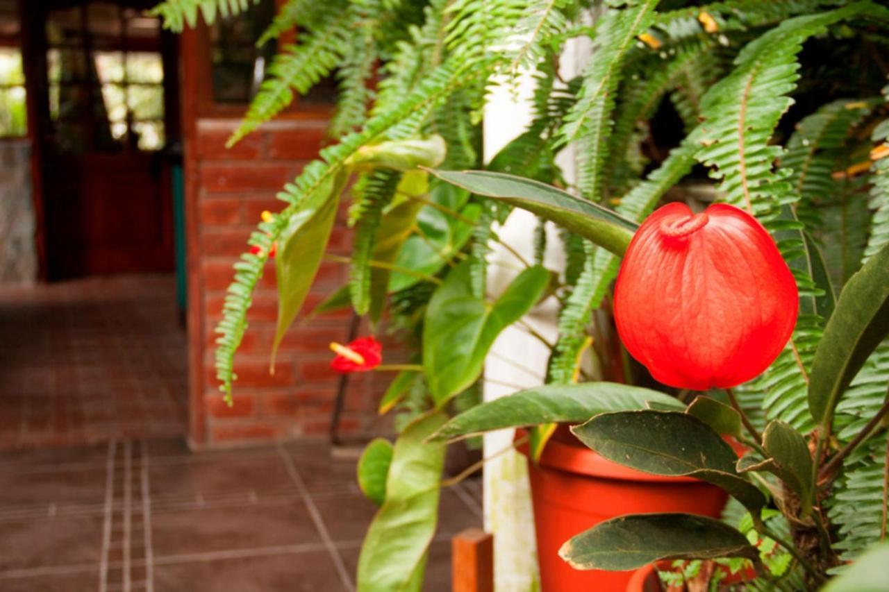 El Pedron Hotel บาญอส ภายนอก รูปภาพ